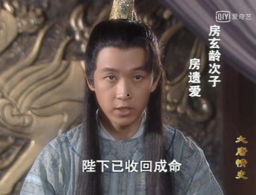 大唐情史19在线观看,爱恨交织的宫廷纠葛